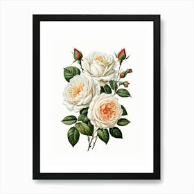 Vintage Galleria Style Rose Art Painting 2 Art Print