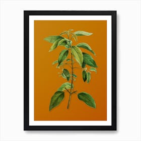 Vintage Chilean Wineberry Branch Botanical on Sunset Orange Art Print