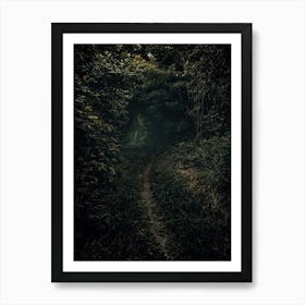 A Вark Path In A Green Forest With An Old Man. Art Print