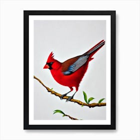 Northern Cardinal Watercolour Bird Affiche