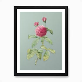 Vintage Agatha Rose in Bloom Botanical Art on Mint Green n.0897 Art Print
