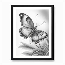 Butterfly On Flower Greyscale Sketch 2 Art Print