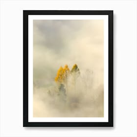 Misty Morning Art Print