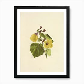 Yellow Nasturtium Art Print