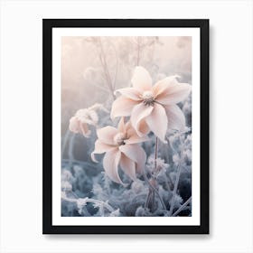 Frosty Botanical Poinsettia 3 Art Print