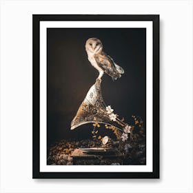 Owl On Gramophone Art Print