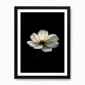 White Flower 12 Art Print