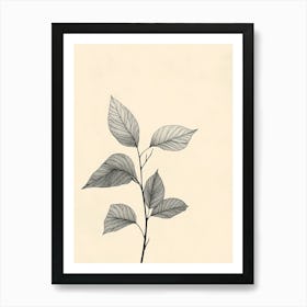 Leaf On A Branch 7 Art Print