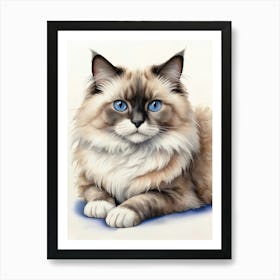 Ragdoll Cat With Blue Eyes Art Print