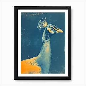 Blue & Orange Photo Style Peacock Art Print