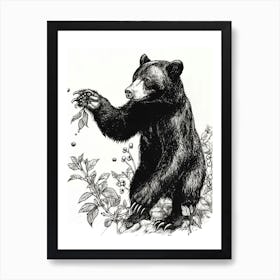 Malayan Sun Bear Standing And Reaching For Berries Ink Illustration 3 Art Print