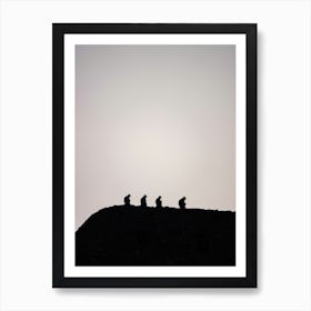 Langur Monkeys, Ranthambambore National Park Art Print