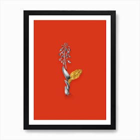 Vintage Brown Widelip Orchid Black and White Gold Leaf Floral Art on Tomato Red n.0053 Art Print