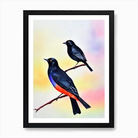 Blackbird 2 Watercolour Bird Art Print