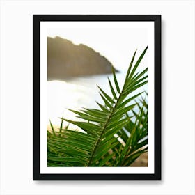 Palm Leaf at The Beach // Ibiza Nature & Travel Photography Art Print