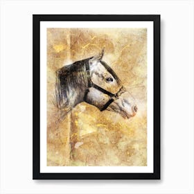 Horse Drawing Art Illustration In A Photomontage Style 33 Art Print