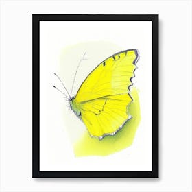 Clouded Yellow Butterfly Graffiti Illustration 2 Art Print