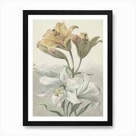 Lily Of The Valley 14 Art Print