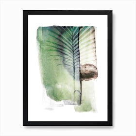 Jurassic Cycad Art Print