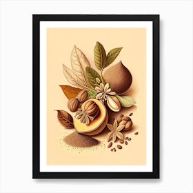 Nutmeg Spices And Herbs Retro Drawing 4 Art Print