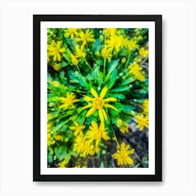 Yellow Flowers 202309231717177rt1pub Art Print