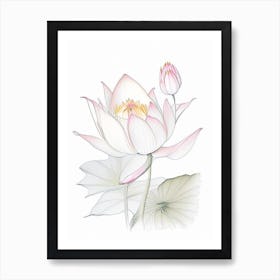 Lotus Floral Quentin Blake Inspired Illustration 4 Flower Art Print