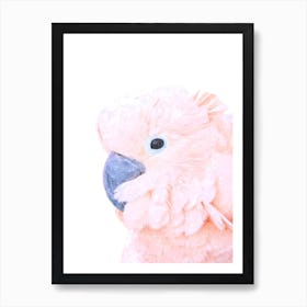 Pink Cockatoo Watercolor Art Print