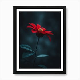 Red Flower In The Dark Art Print