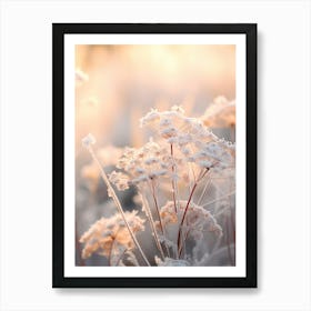 Frosty Botanical Queen Annes Lace 7 Art Print