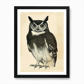 African Wood Owl Vintage Illustration 1 Art Print