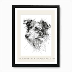 Nova Scotia Duck Tolling Retriever Line Sketch Poster Art Print