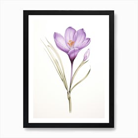 Saffron Vintage Botanical Herbs 2 Art Print