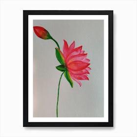 Lotus Flower Art Print