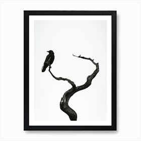 Crow On Branch Art Print
