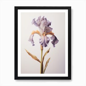 Pressed Flower Botanical Art Iris 4 Art Print