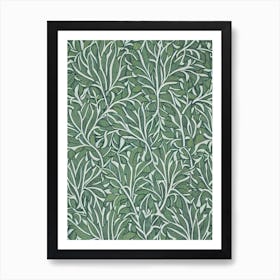 Boxwood 1 tree Vintage Botanical Art Print