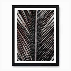 Beach Palm Patterns X Art Print