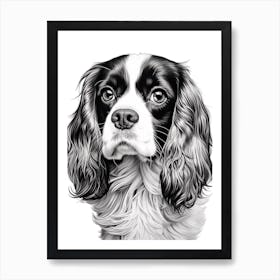 Cavalier King Charles Spaniel Dog, Line Drawing 4 Art Print
