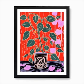 Pink And Red Plant Illustration Hoya 1 Art Print