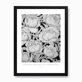 Rose B&W Vintage Botanical Poster Art Print