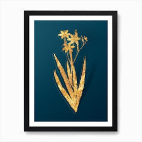 Vintage Blackberry Lily Botanical in Gold on Teal Blue n.0096 Art Print