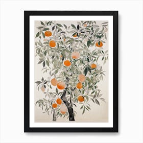 Persimmon Fruit Drawing 1 Affiche