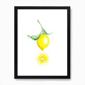 Citrus Art Print