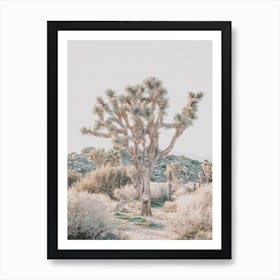 Joshua Tree Boulder Art Print