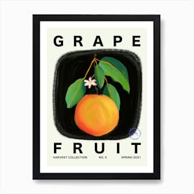 Grapefruit Fruit Kitchen Typography Art Print
