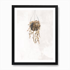 Hanging Planter Art Print