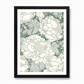 Duchesse De Nemours Peonies 3 Drawing Art Print