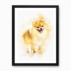 Pomeranian Dog Art Print