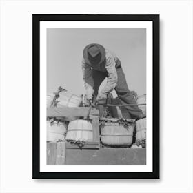 Tying A Rope Around Spinach Baskets To Keep Them From Falling Off Truck, La Pryor, Texas By Russell Lee Art Print