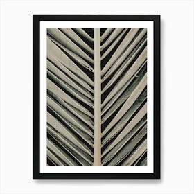 Palm Leaves_2192470 Art Print